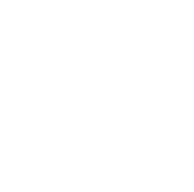 Wireframing and Designing