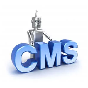 build custom cms