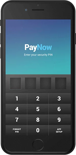 Paynow for Stripe App UI Design