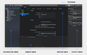 How to Develop an iOS App in 2023 from Scratch
