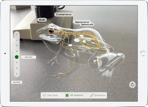 3 dimensional model in Augmented Reality