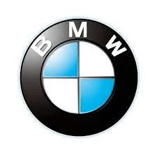 bmw icon