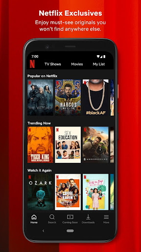 Netflix App Screen