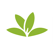 Plant Identification