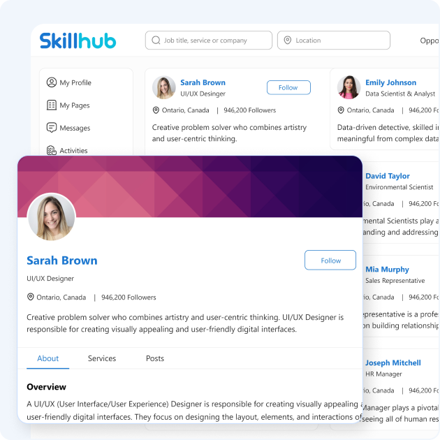 About the SkillHub professional networking platform